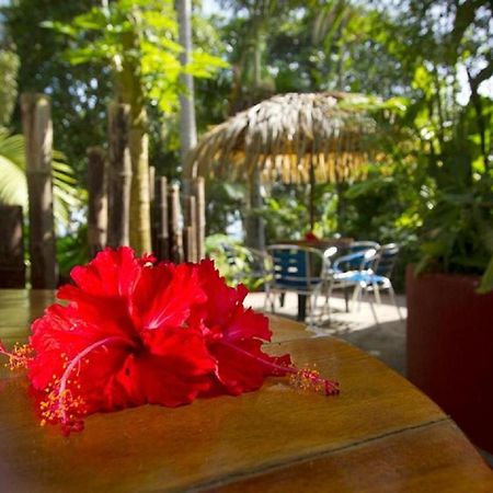 Villas Del Caribe Puerto Viejo de Talamanca Exteriér fotografie