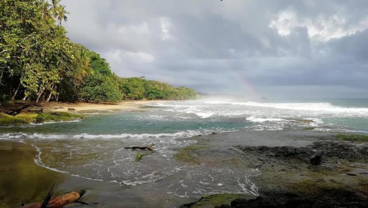 Villas Del Caribe Puerto Viejo de Talamanca Exteriér fotografie