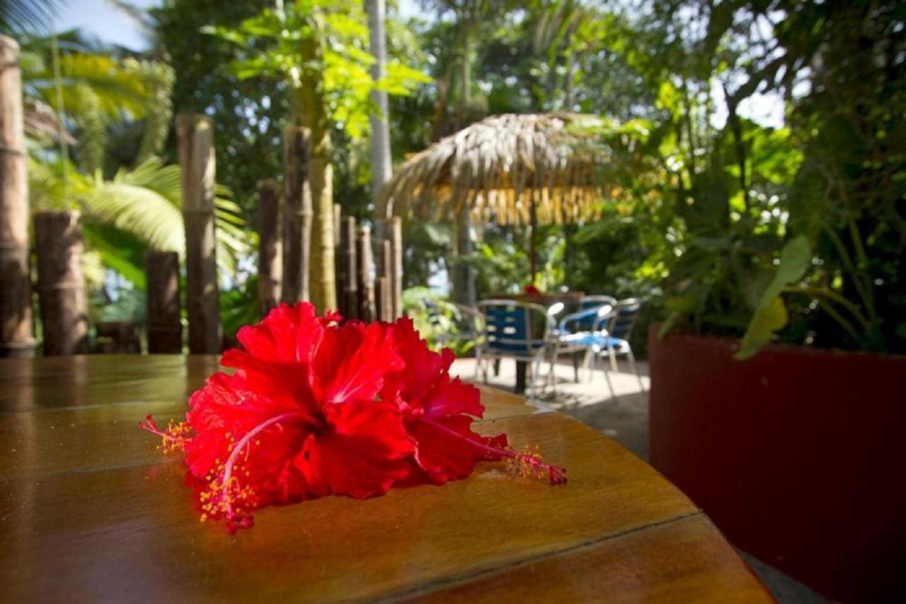 Villas Del Caribe Puerto Viejo de Talamanca Exteriér fotografie