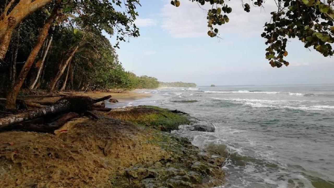 Villas Del Caribe Puerto Viejo de Talamanca Exteriér fotografie